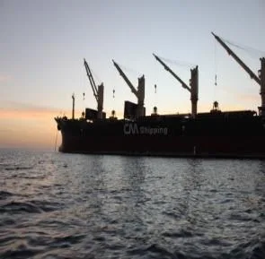 Bulk carrier at sea